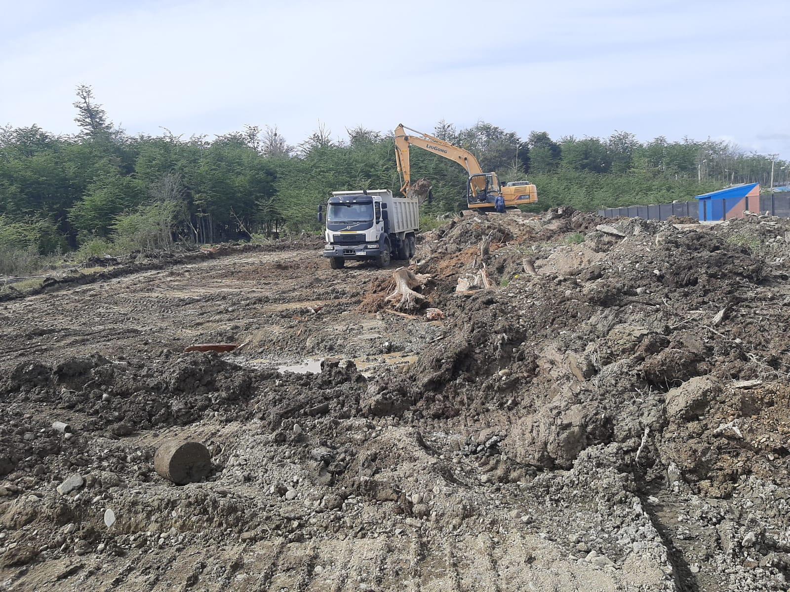 Terreno con tocones y suelo removido junto al bosque
